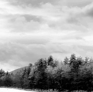 Meet your Posher, Nadia